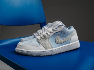 Air Jordan