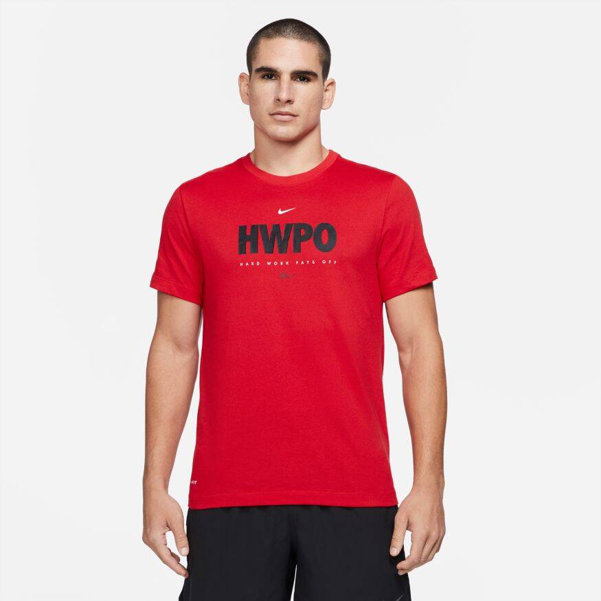 NIKE Dri Fit Tee Hwpo Erkek Tişört