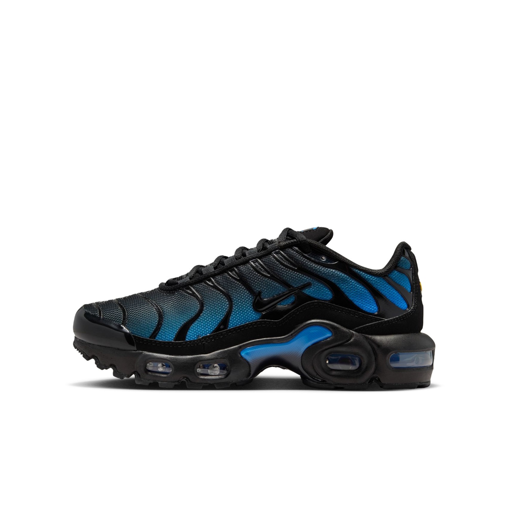 Air Max Plus Gs Sneaker Ayakkabı