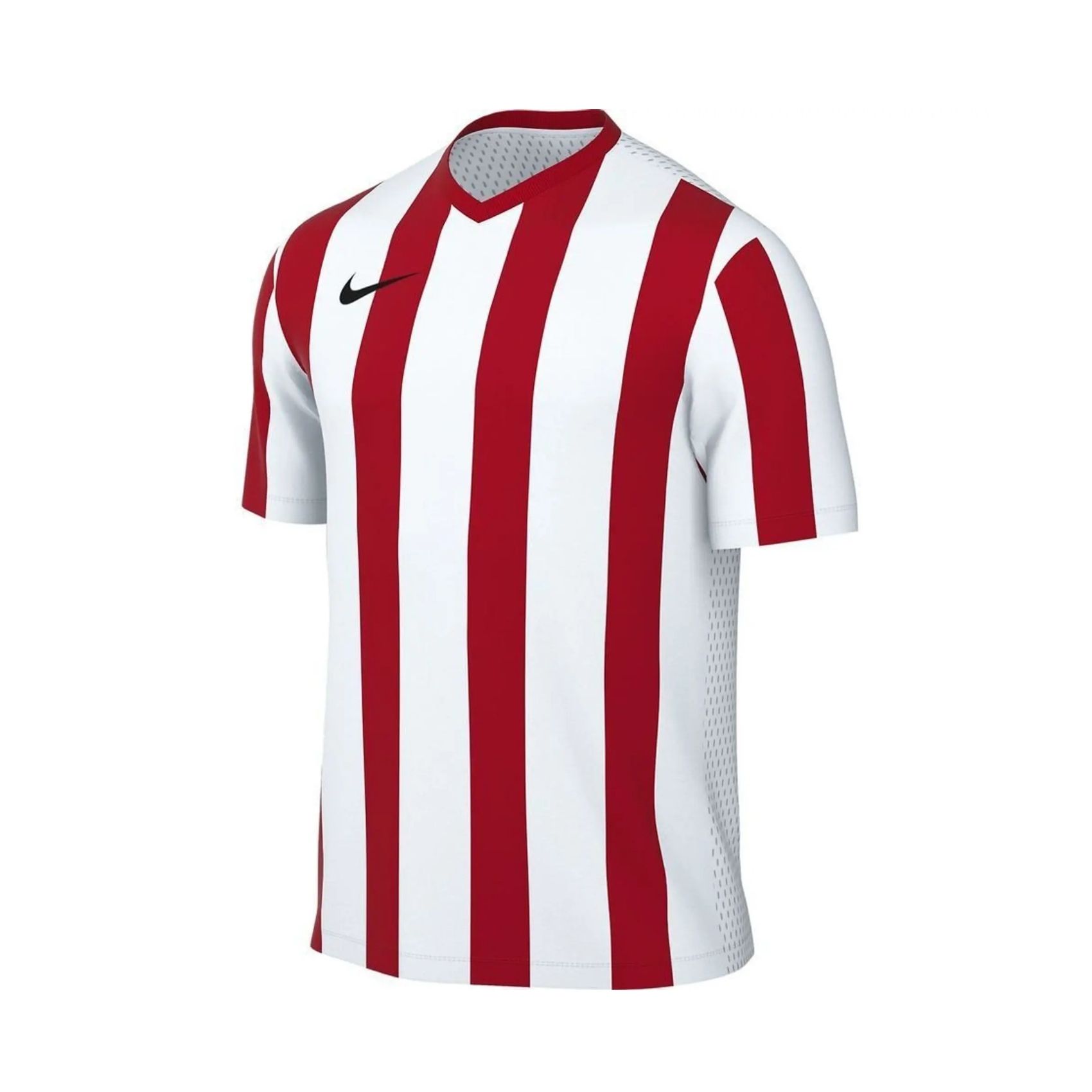Dri-FIT Stripe Jersey SS Erkek Tişört