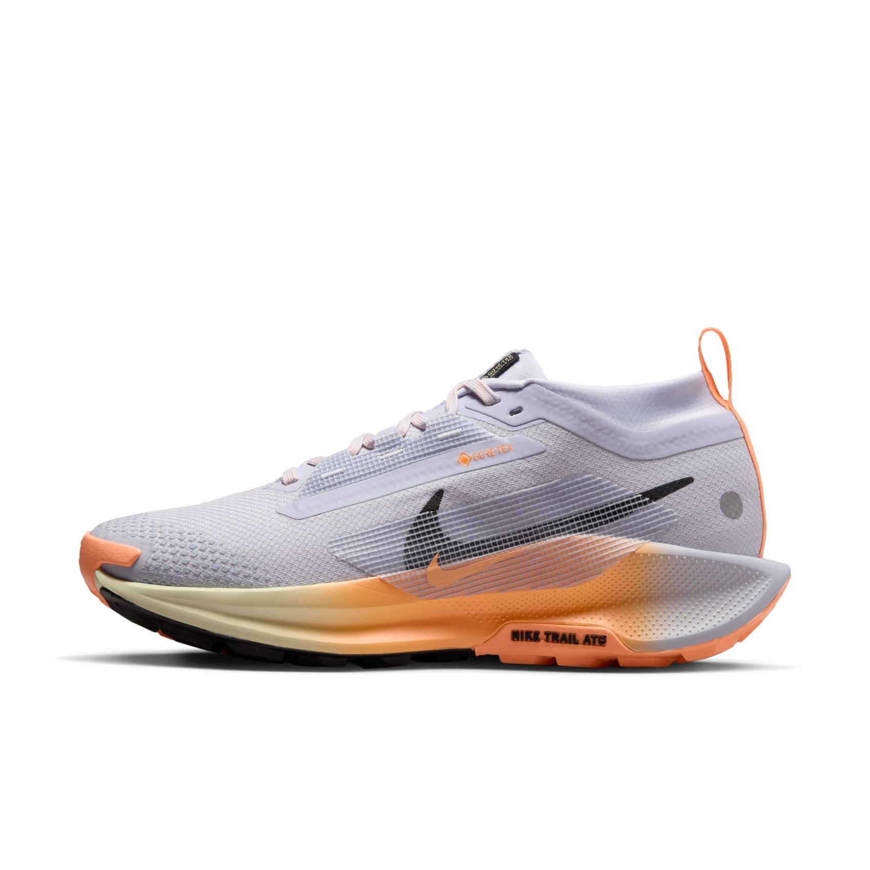 Pegasus Trail 5 GORE-TEX Kadın Koşu Ayakkabısı